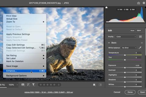 adobe presenta herramienta super resolution ia featured ejemplo