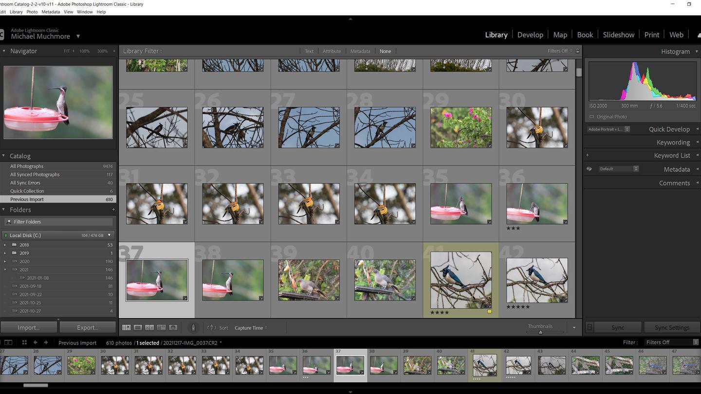 alternativas a adobe lightroom