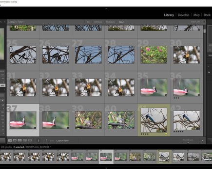 ¿ cuáles son las mejores alternativas a lightroom?