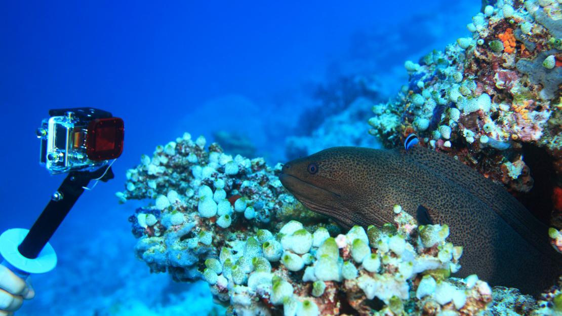 configuracion gopro buceo submarinismo agua