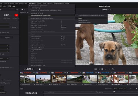 eliminar cache davinci resolve
