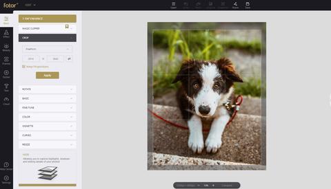 fotor editor fotos online