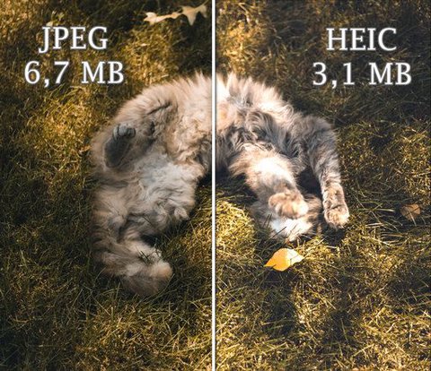 heic vs jpeg