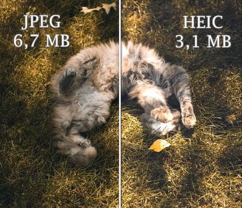 heic vs jpeg