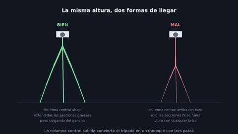 tripodes guia de compra esquema