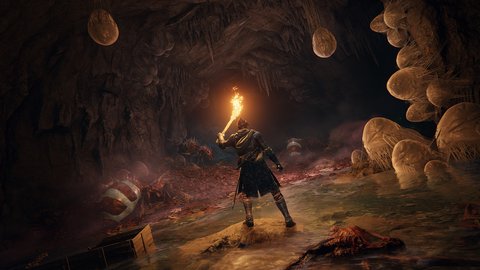 elden ring artwork hormigas
