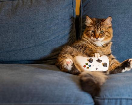 lo que realmente quieren los gamers de hoy en día acceso instantáneo, precios bajos y cero complicaciones