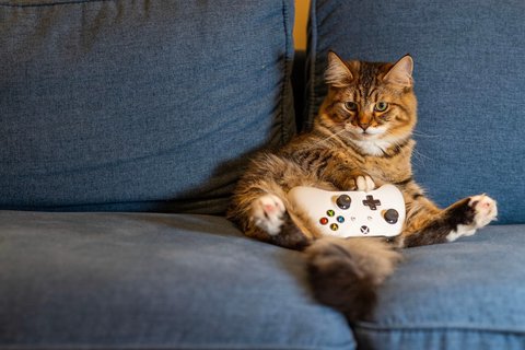 lo que realmente quieren gamers hoy en dia acceso instantaneo y precios bajos