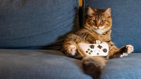 lo que realmente quieren gamers hoy en dia acceso instantaneo y precios bajos