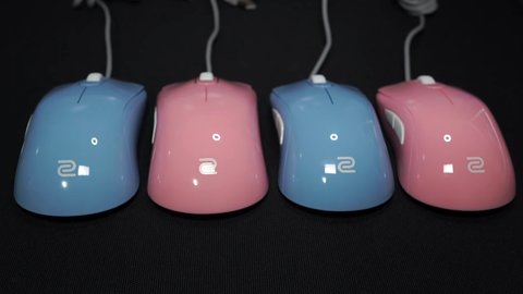 modelos zowie divina