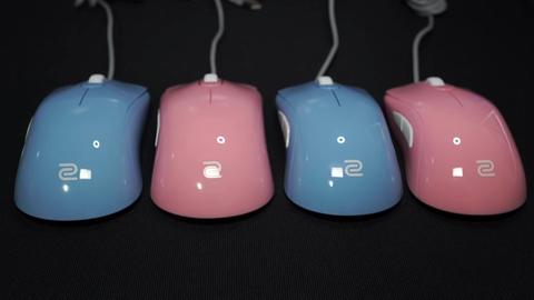 modelos zowie divina