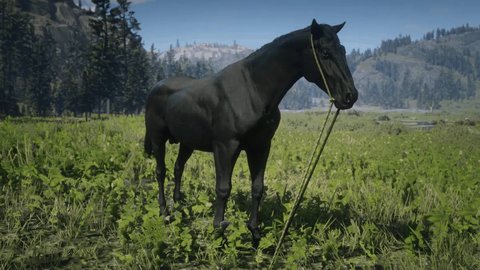 red dead redemption 2 rdr2 trucos sacar rendimiento caballos