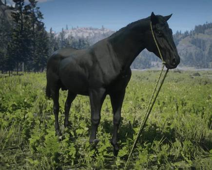 consejos para red dead redemption 2 que te ayudarán a sacar el máximo partido a tus caballos