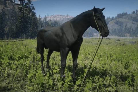 red dead redemption 2 rdr2 trucos sacar rendimiento caballos