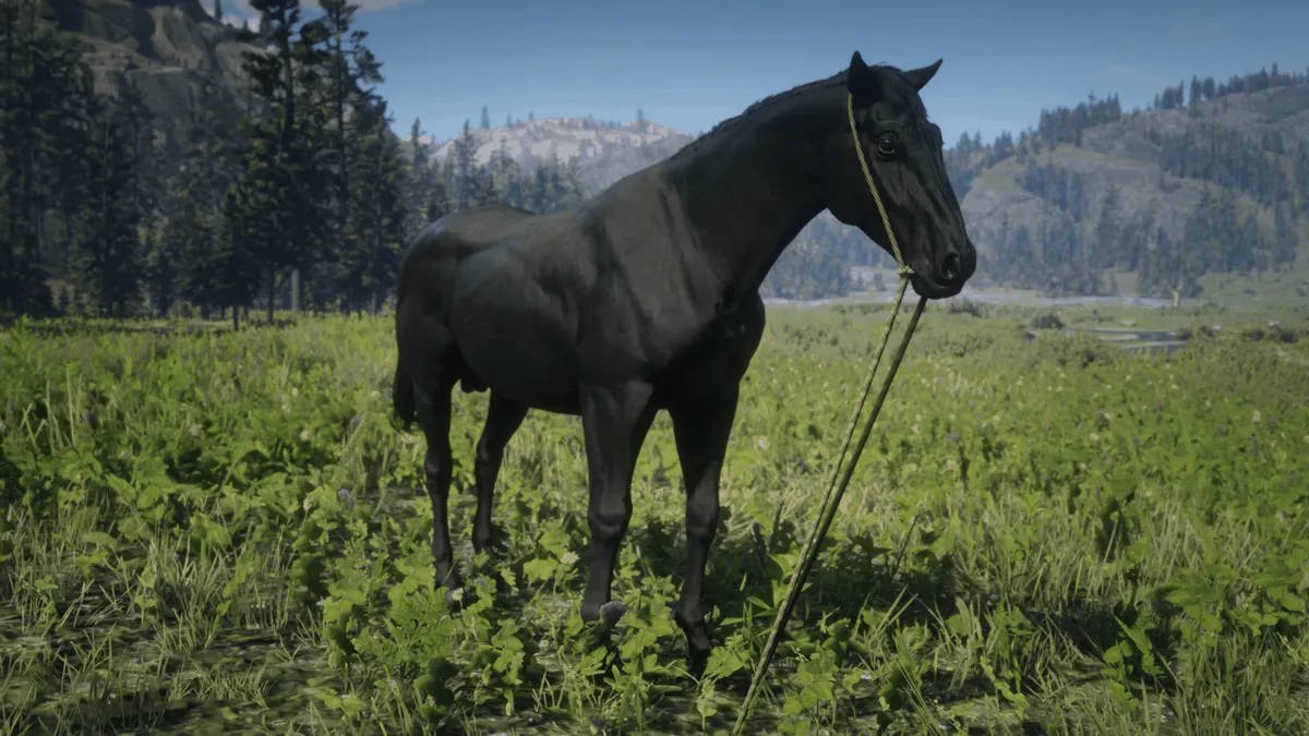 red dead redemption 2 rdr2 trucos sacar rendimiento caballos