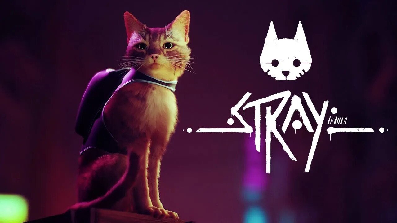 stray videojuego analisis