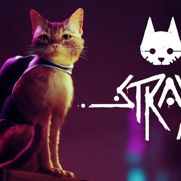 stray videojuego analisis