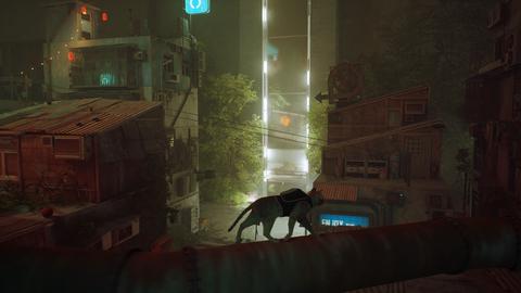 stray videojuego analisis gato