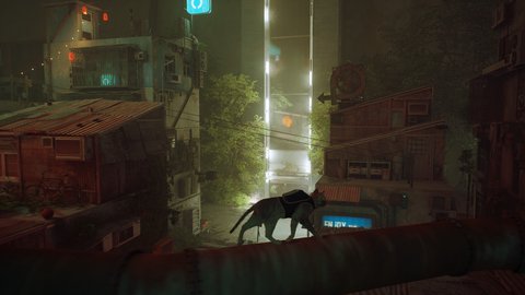 stray videojuego analisis gato