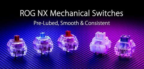switches rog nx