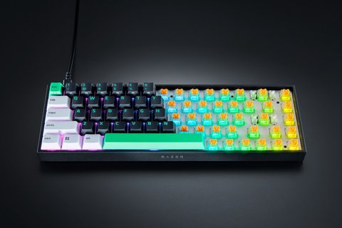 razer reclusa x mini 65