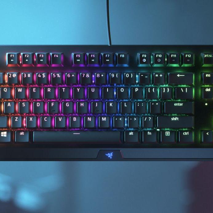 razer blackwidow v3 tenkeyless