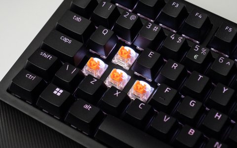 razer blackwidow v4 75 switches