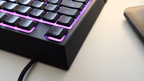 razer ornata v2 borde