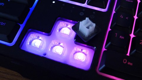 razer ornata v2 swtiches