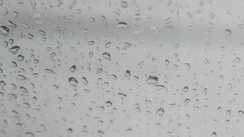 el deshumidificador de mercadona o la mejor forma de eliminar la humedad de tu casa