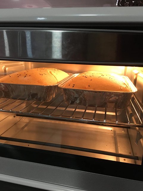 horno cecotec bake toast 590 detalle