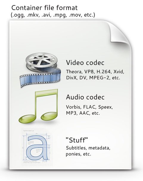 contenedor y codecs
