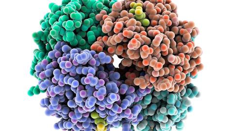 folding@ home se convierte en el supercomputador más potente del mundo para luchar contra el covid 19