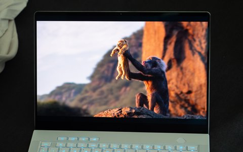 asus rog zephyrus g14 2024 colores pantalla