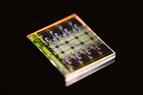 Die de un procesador AMD Ryzen 5 9600X Zen 5