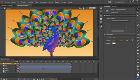 adobe flash