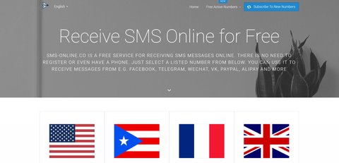 sms online co