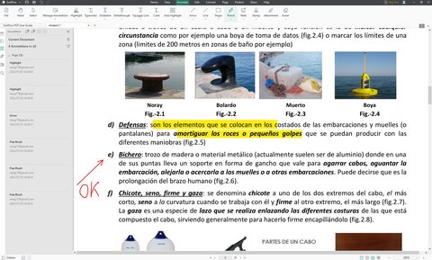 anotaciones swifdoo