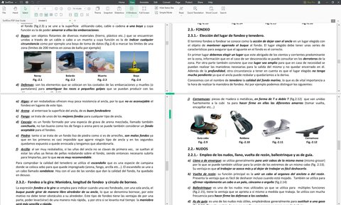 swifdoo view