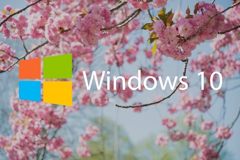 windows 10 update 2019 abandona actualizaciones forzadas