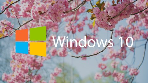 windows 10 update 2019 abandona actualizaciones forzadas