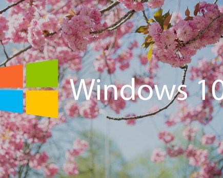 windows 10 update 2019 abandona actualizaciones forzadas
