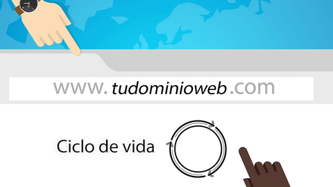 ciclo vida dominio