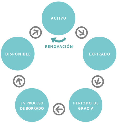 ciclo vida dominio
