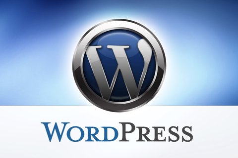wordpress datos estadisticas