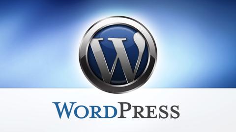 wordpress datos estadisticas