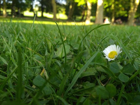 motorola moto g5s plus fotografia 1