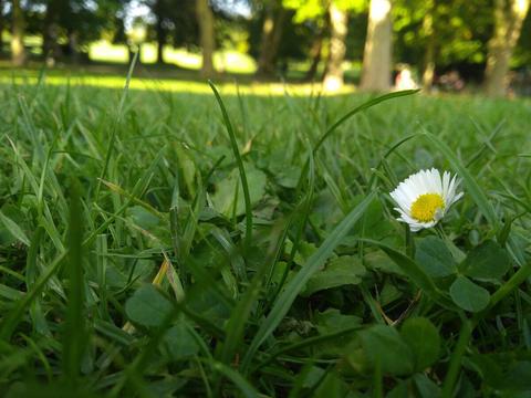 motorola moto g5s plus fotografia 1