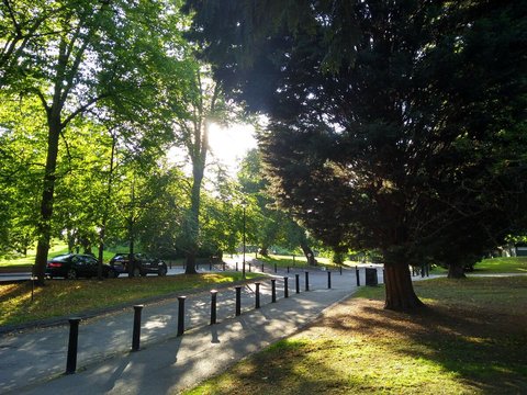 motorola moto g5s plus fotografia 2
