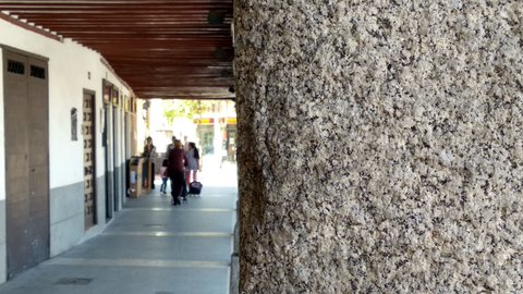 foto ejemplo camara xiaomi mi a1 primer plano